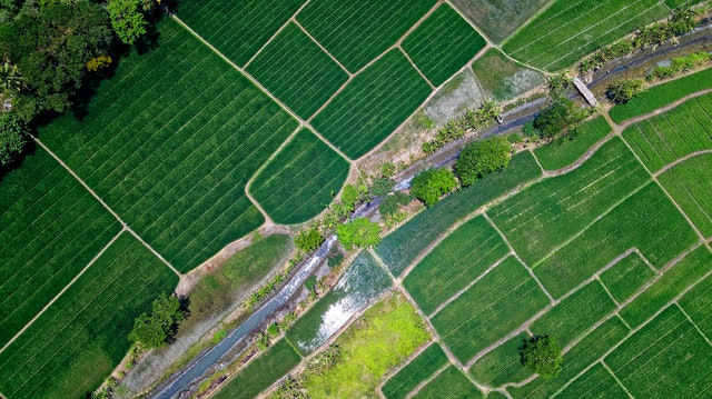 Small and Fragmented Land Holdings